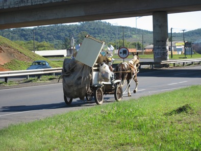 IMG_5395 1 horse moving van.14.JPG